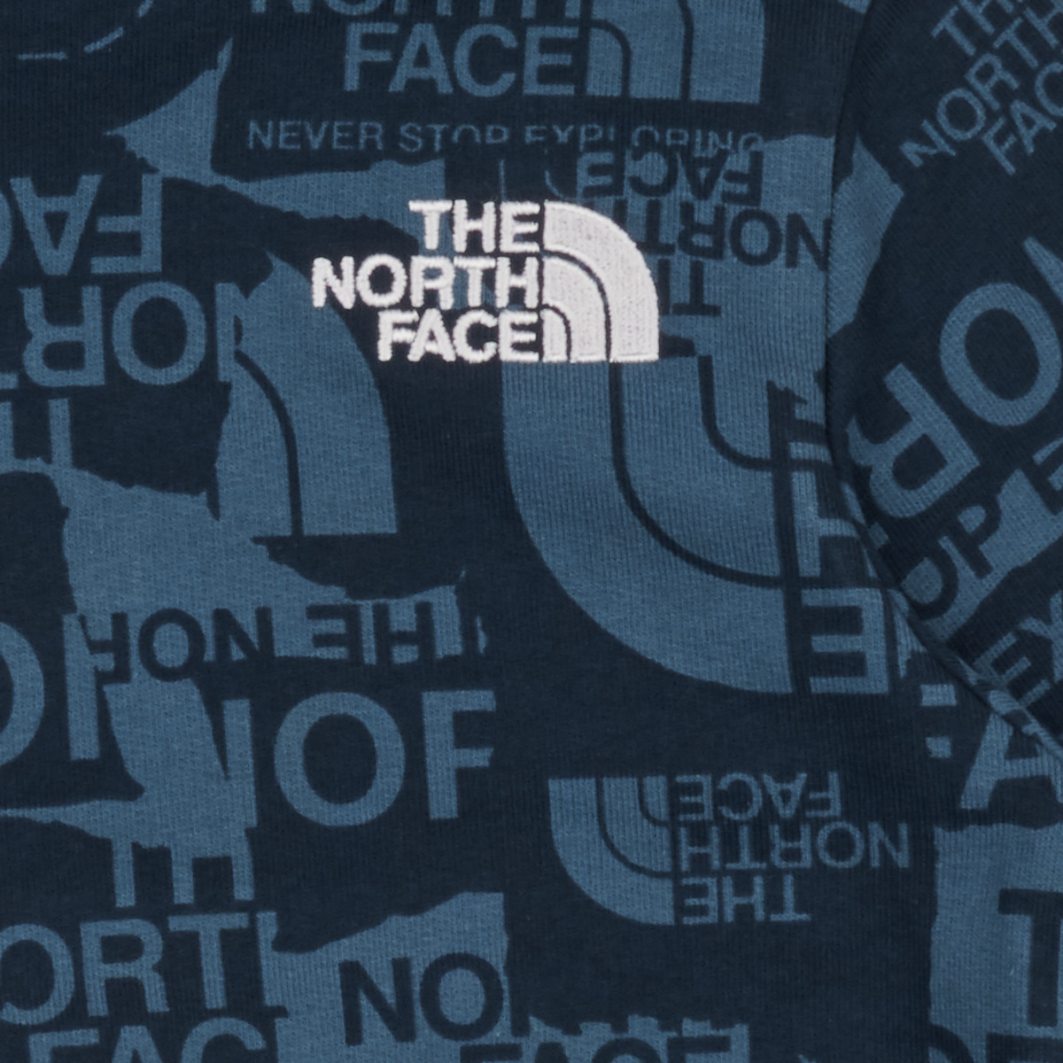 The North Face Bleu BOYS DREW PEAK LIGHT P/O HOODIE 6yjzCXKq
